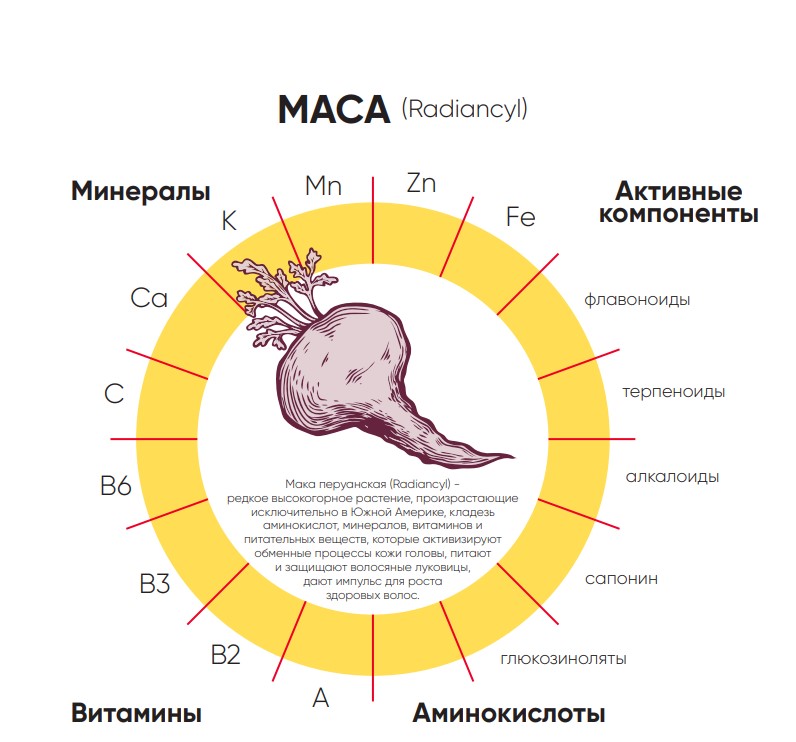 на сайт.jpg