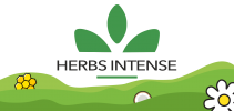 HERBS INTENSE